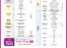(홍보)부산 미래 IFC 검진센터 기간한정 특별 프로모션(~2024.04.30. 까지)